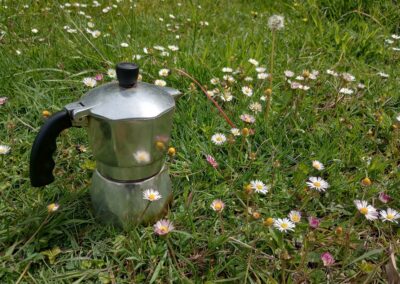 Kleine Espressokanne im Gras mit vielen Gänsblümchen