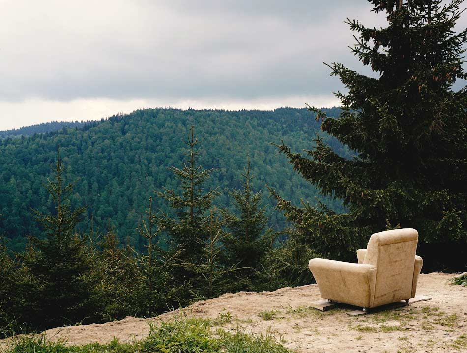  Wohnbegleitung - Sessel in Waldlandschaft